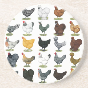 Dessous De Verre En Grès 49 poules de poulet