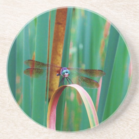 Dessous De Verre En Grès A teal Eyed Dragonfly with cattails (Devant)