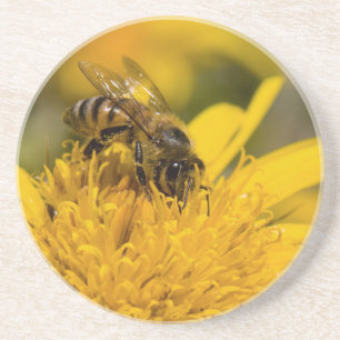Dessous De Verre En Grès Abeille Africaine Avec Sacs De Pollen En Train De