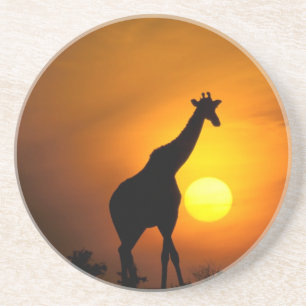 Dessous De Verre En Grès Afrique, Kenya, Masai Mara. Girafe (Giraffa