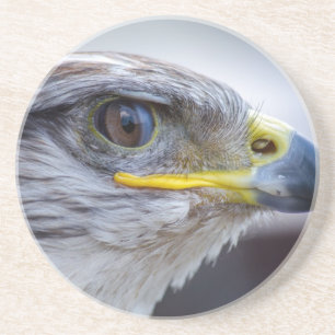 Dessous De Verre En Grès Aigle
