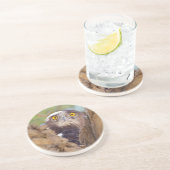 Dessous De Verre En Grès Aigle huppard à poitrine blanche (Côté)