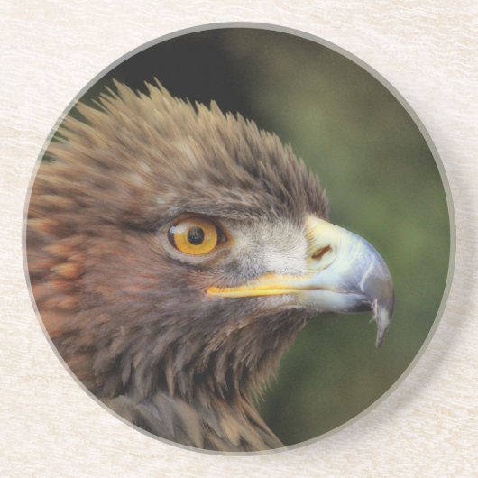 Dessous De Verre En Grès aigle royal (Devant)
