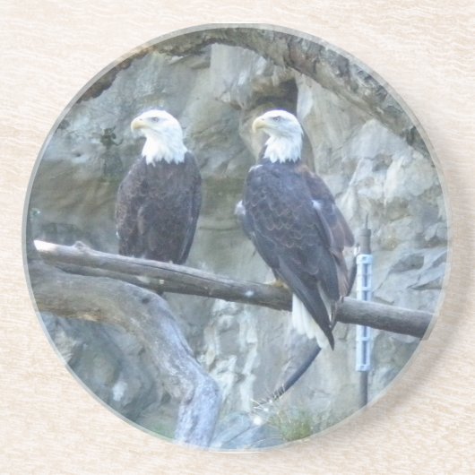 Dessous De Verre En Grès Aigles chauds (Devant)