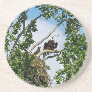 Dessous De Verre En Grès Aigles chauds