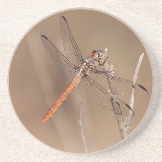 Dessous De Verre En Grès Ailes de libellules d'or (Devant)