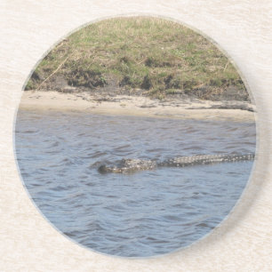 Dessous De Verre En Grès Alligator américain nageant dans un marais de Flor