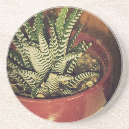 Dessous De Verre En Grès aloe (Devant)