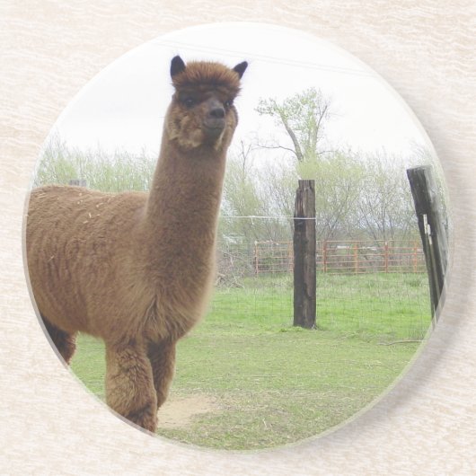 Dessous De Verre En Grès Alpaca (Devant)