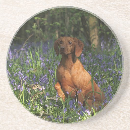 Dessous De Verre En Grès Ambre (Devant)