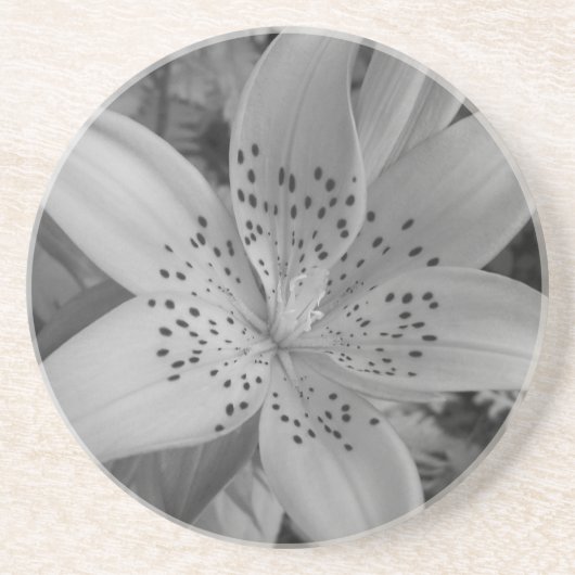 Dessous De Verre En Grès American Tiger Lily (Devant)