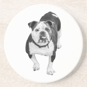 Dessous De Verre En Grès Ami d'hiver, Coaster Bulldog