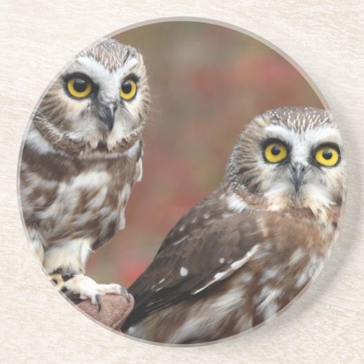 Dessous De Verre En Grès Amis (Devant)