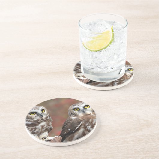 Dessous De Verre En Grès Amis (Côté)