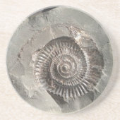 Dessous De Verre En Grès Ammonite de Dactylioceras dans la roche (Devant)