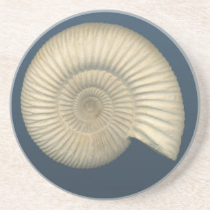 Dessous De Verre En Grès Ammonite de Perisphinctes