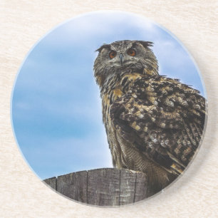 Dessous De Verre En Grès Amour de paix de destin de nature animale de plume