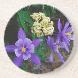 Dessous De Verre En Grès Ancolies Mutantes Fleurs Sauvages