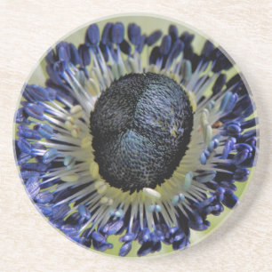 Dessous De Verre En Grès Anemone Mistral Panda