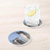 Dessous De Verre En Grès Antarctique, Anse Neko. Manchot gentoo 2 (Côté)