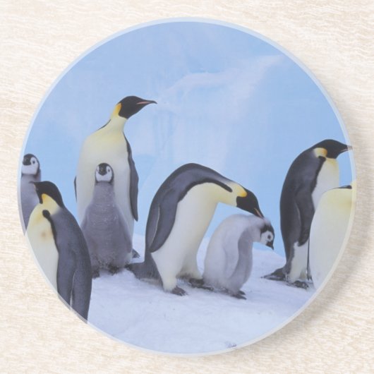 Dessous De Verre En Grès Antarctique, Manchots empereurs (Devant)