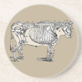 Dessous De Verre En Grès Antique Cow Skeleton Bones (Devant)