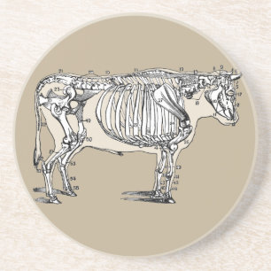 Dessous De Verre En Grès Antique Cow Skeleton Bones