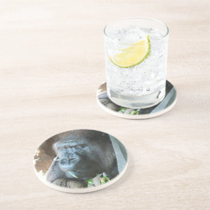 Dessous De Verre En Grès Ape hood ~ Japonais Gorilla Manger