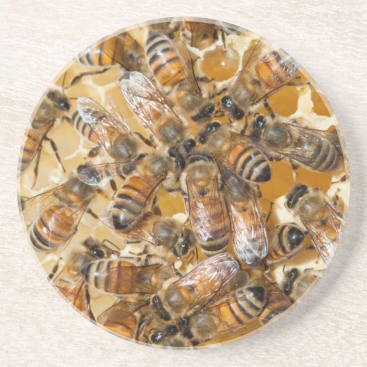Dessous De Verre En Grès Apiculture à Arlo's Honey Farm (Devant)