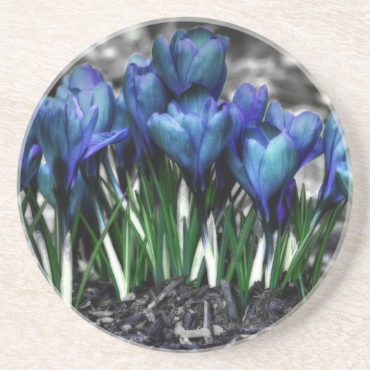 Dessous De Verre En Grès Aqua Blue Crocus Blooms (Devant)