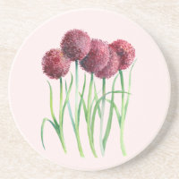Aquarelle violet rose Allium Peinture botanique