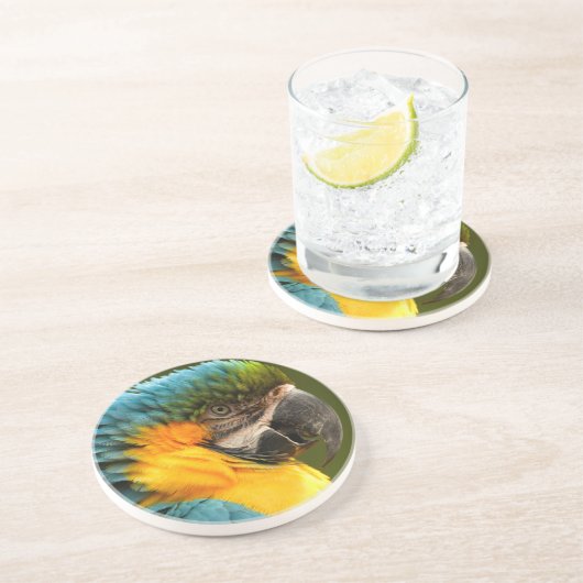 Dessous De Verre En Grès ara hérissé (Côté)