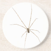 Dessous De Verre En Grès Araignée (Devant)