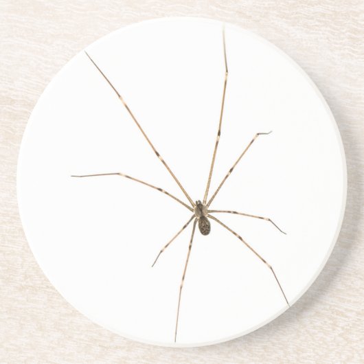 Dessous De Verre En Grès Araignée (Devant)