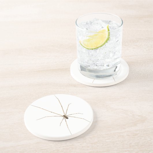 Dessous De Verre En Grès Araignée (Côté)