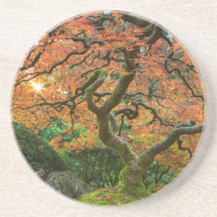 Dessous De Verre En Grès Arbre à Érable Dans Les Jardins Japonais En Automn