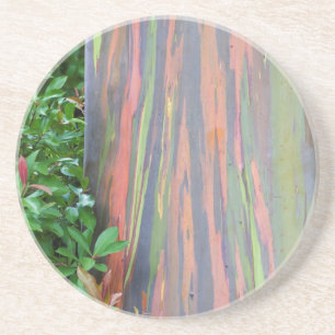 Dessous De Verre En Grès Arbre à eucalyptus arc-en-ciel