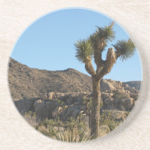 Dessous De Verre En Grès Arbre de Joshua