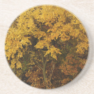 Dessous De Verre En Grès Arbres d'automne
