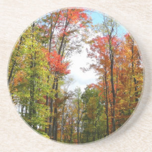 Dessous De Verre En Grès Arbres d'automne et ciel bleu Photographie de la n