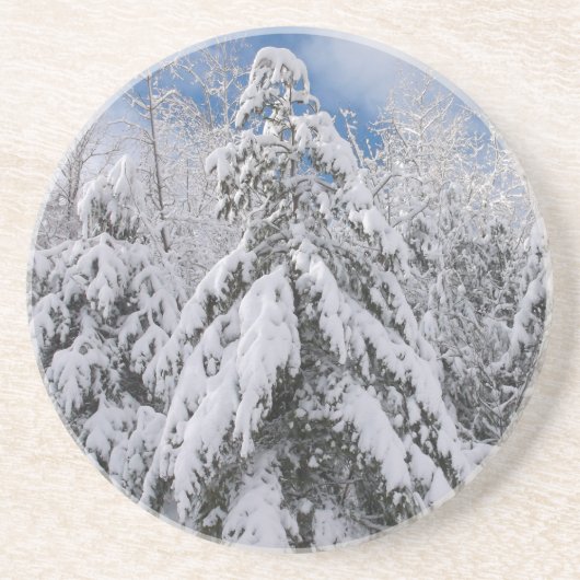 Dessous De Verre En Grès Arbres neigeux (Devant)