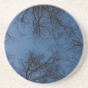 Dessous De Verre En Grès Arbres silhouettés foncés