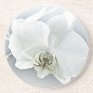 Dessous De Verre En Grès Art botanique de l'orchidée blanche élégante