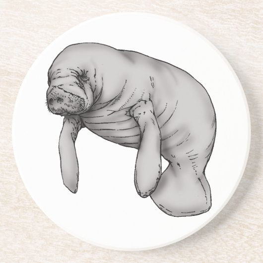 Dessous De Verre En Grès art manatee (Devant)