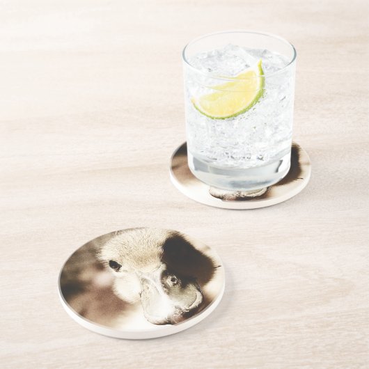 Dessous De Verre En Grès Art numérique canard (Côté)