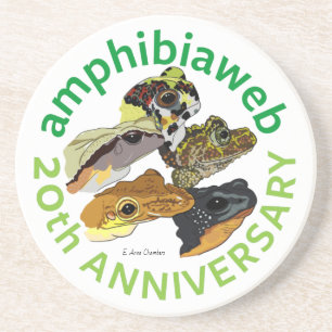 Dessous De Verre En Grès #ArtYourAmphibian2020 - E. Anne Chambers