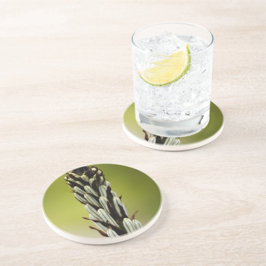 Dessous De Verre En Grès Asphodel blanc (albus d'asphodèle) (Côté)