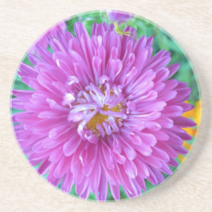 Dessous De Verre En Grès Aster avec araignée de crabe