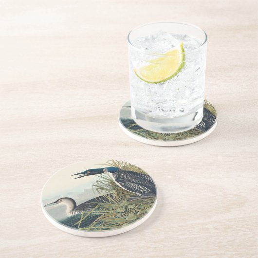 Dessous De Verre En Grès Audubon Bird Loon Diver Classic (Côté)