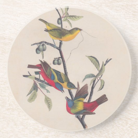 Dessous De Verre En Grès Audubon Peint Bunting Bird Wildlife (Devant)